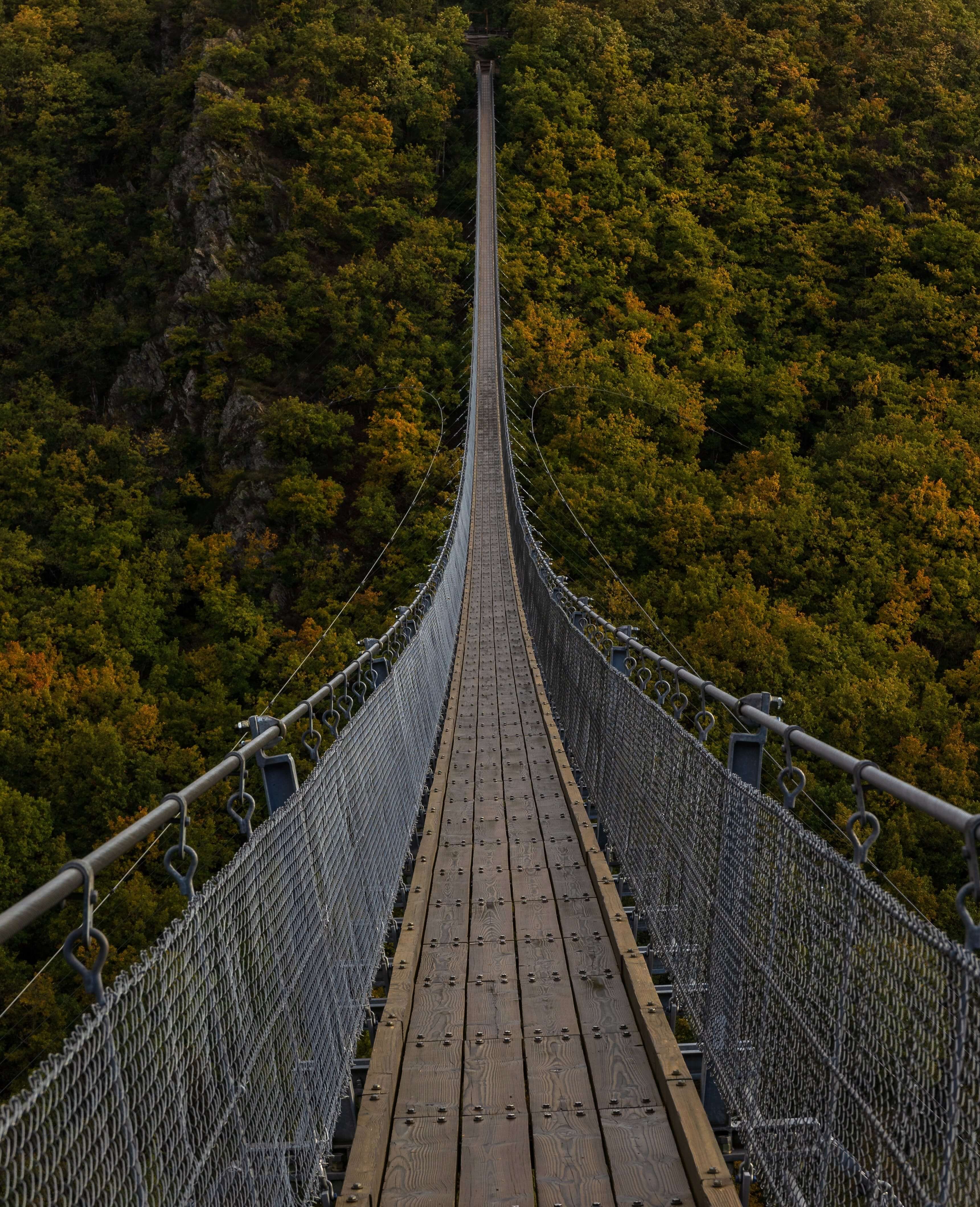 long bridge